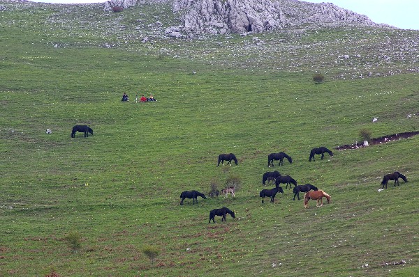 Research Team in abruzzo Mountains